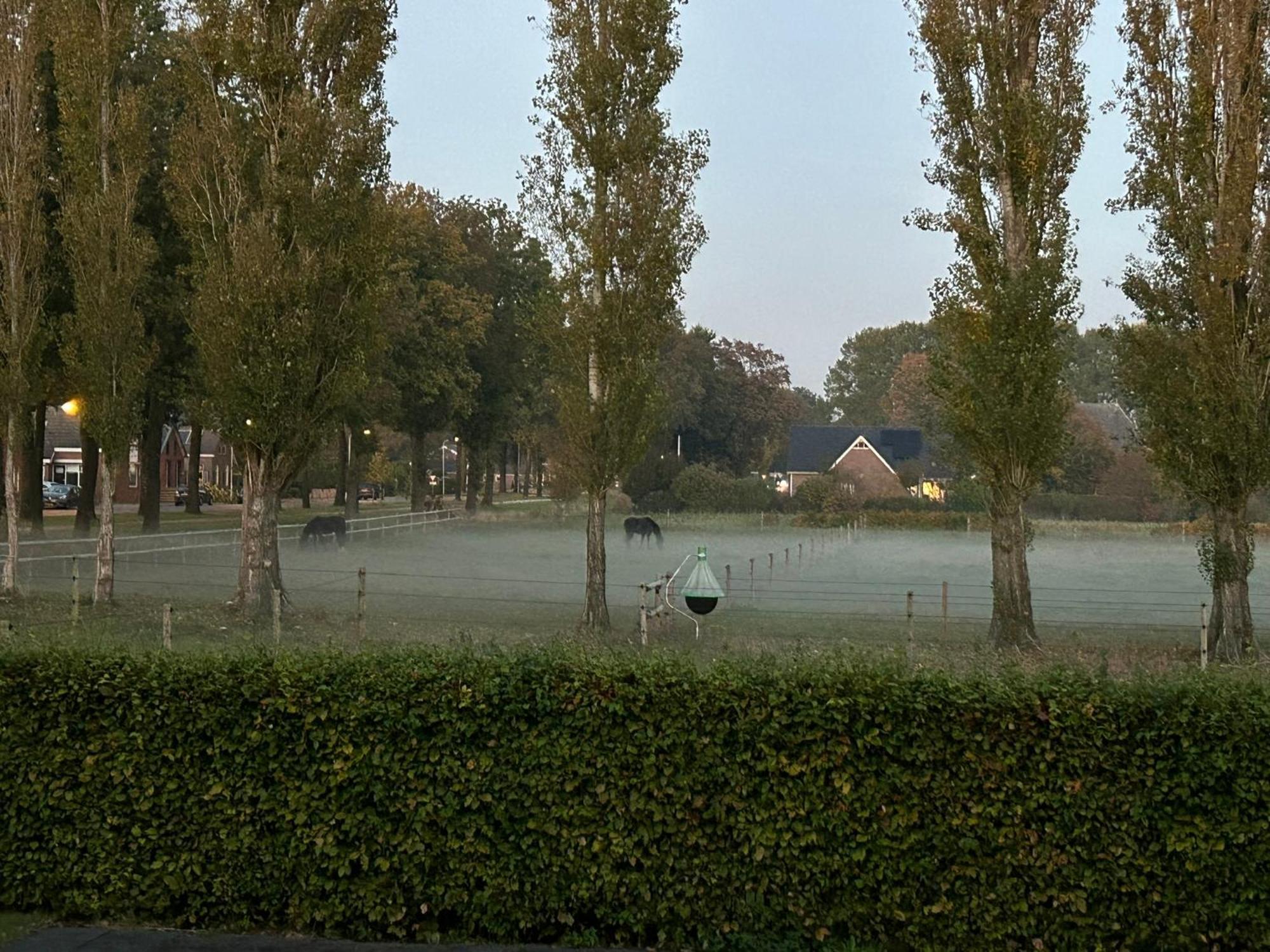 De Cordobahoeve Tweede Exloermond Exteriér fotografie
