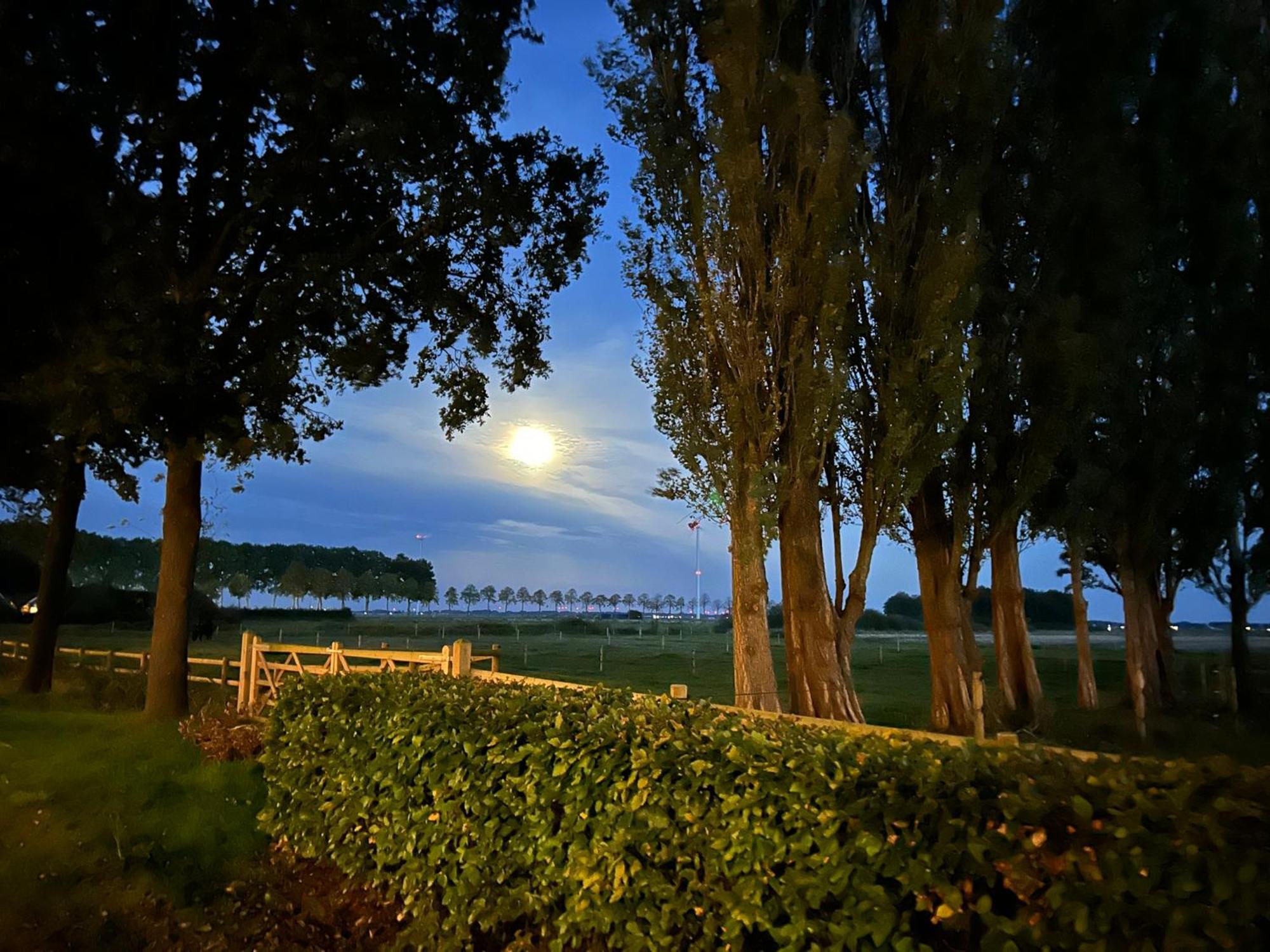 De Cordobahoeve Tweede Exloermond Exteriér fotografie