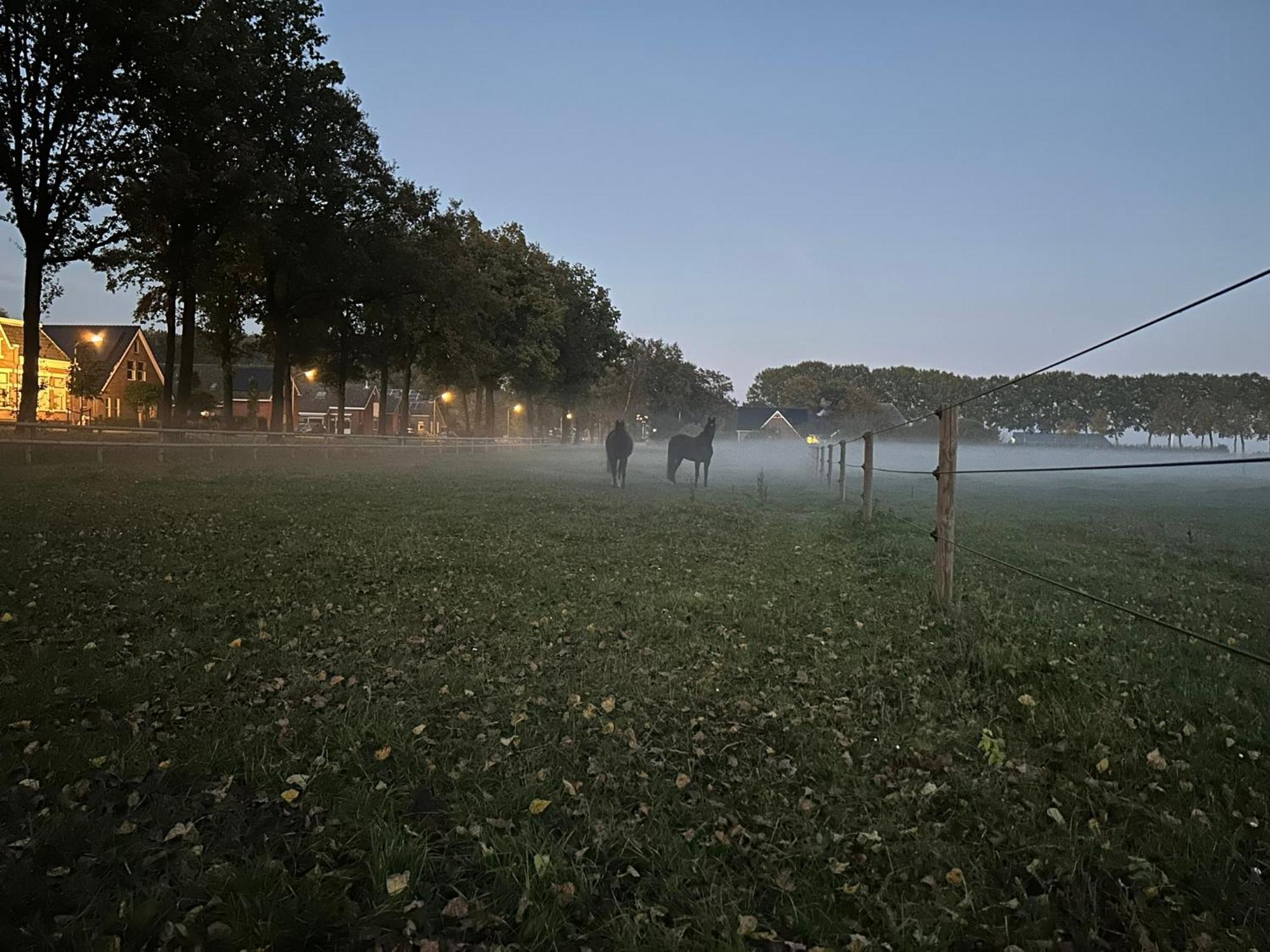 De Cordobahoeve Tweede Exloermond Exteriér fotografie