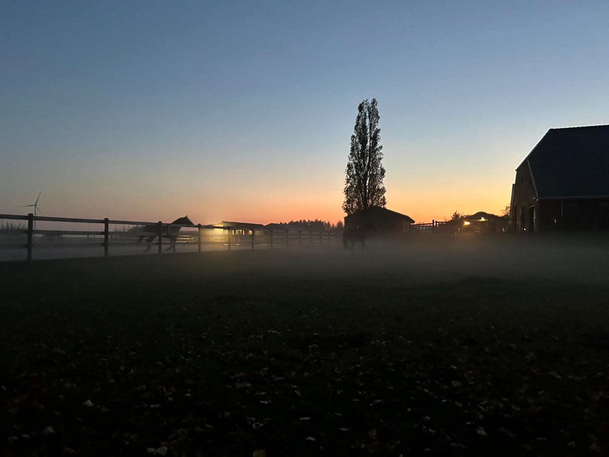 De Cordobahoeve Tweede Exloermond Exteriér fotografie