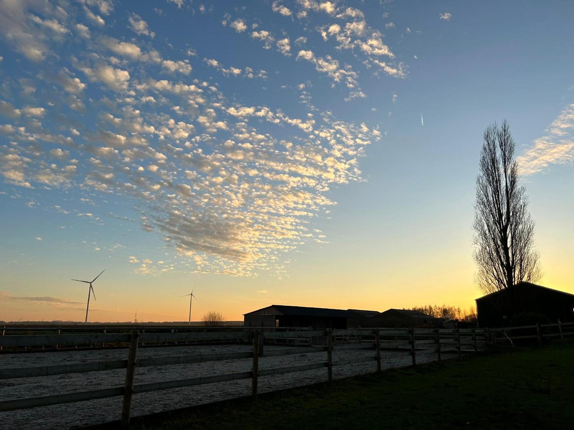 De Cordobahoeve Tweede Exloermond Exteriér fotografie