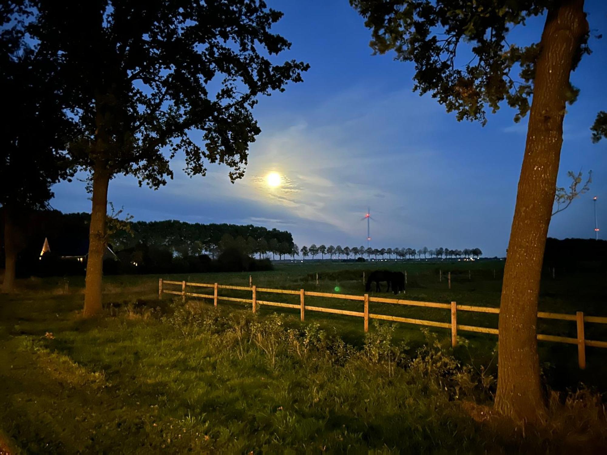 De Cordobahoeve Tweede Exloermond Exteriér fotografie